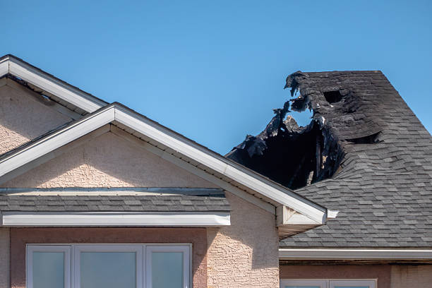 Top rated local Fire Damage Removal specialists in Willingboro, NJ